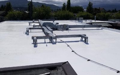 Avoid These Top Roof Maintenance Mistakes