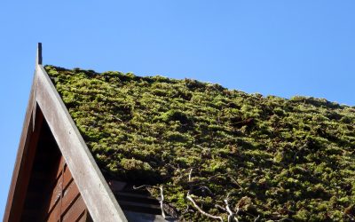 Is Your Roof Ready for Spring?